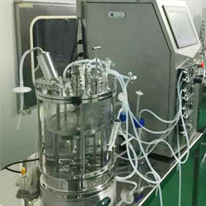 20l Desktop Off-site Sterilization Magnetic Stirring Glass Bioreactor